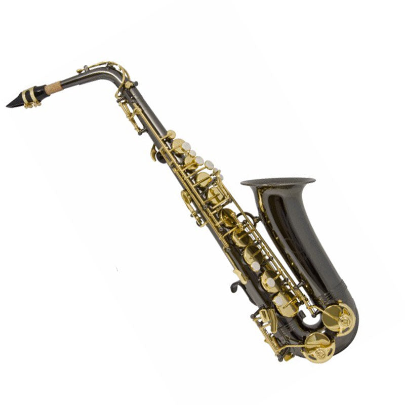 Trevor James Alphasax Eb Alto Saxophone Black and Gold (371ABK)
