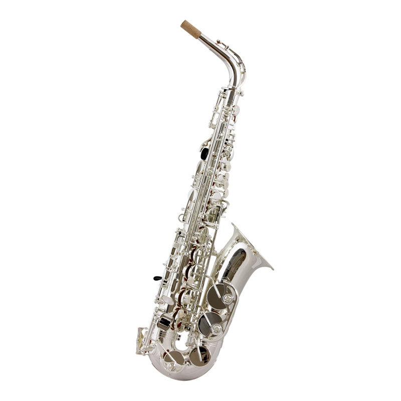 Trevor James 'The Horn' Classic II Alto Sax 3722SS