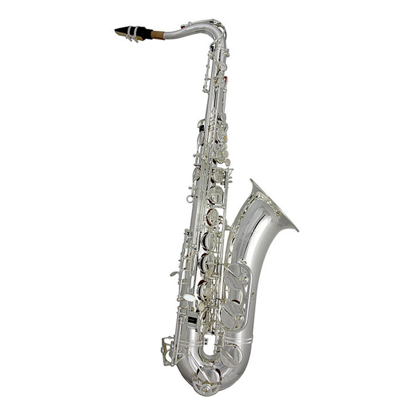 Trevor James 'The Horn' Classic II Tenor Sax 3822SS