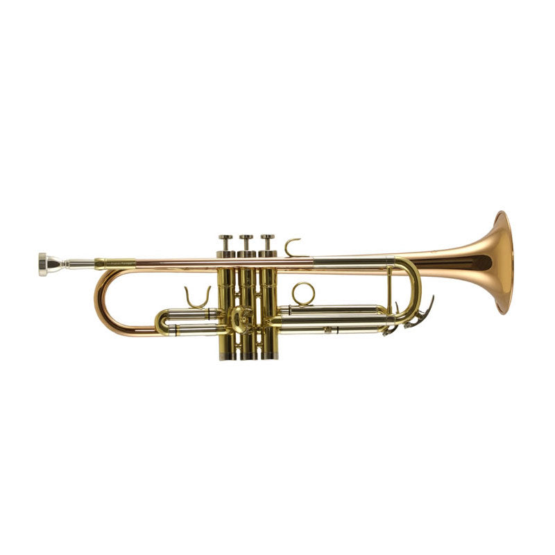 Trevor James TR4500SP Bb Trumpet
