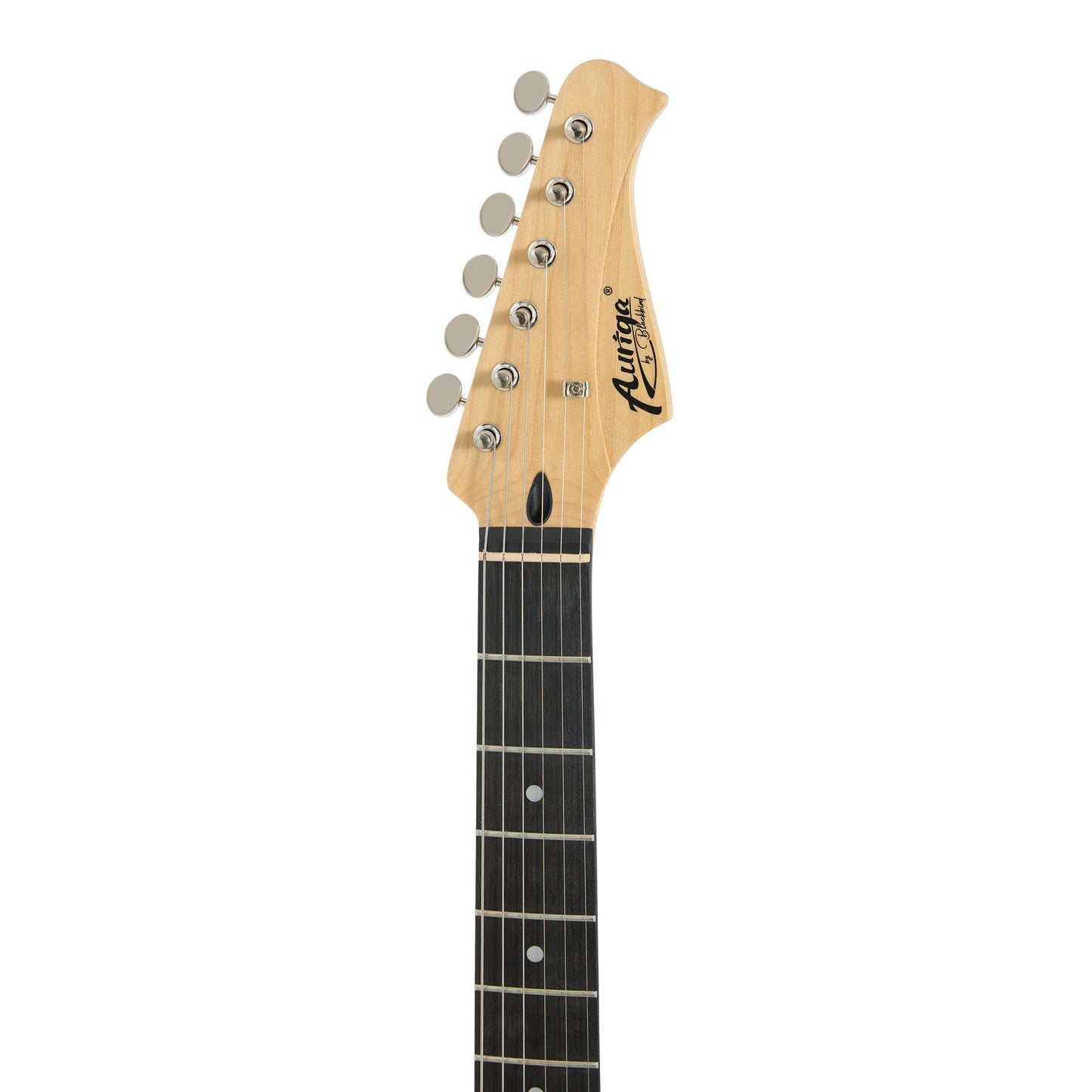 Auriga A100 - The Raven Stratocaster (Black)