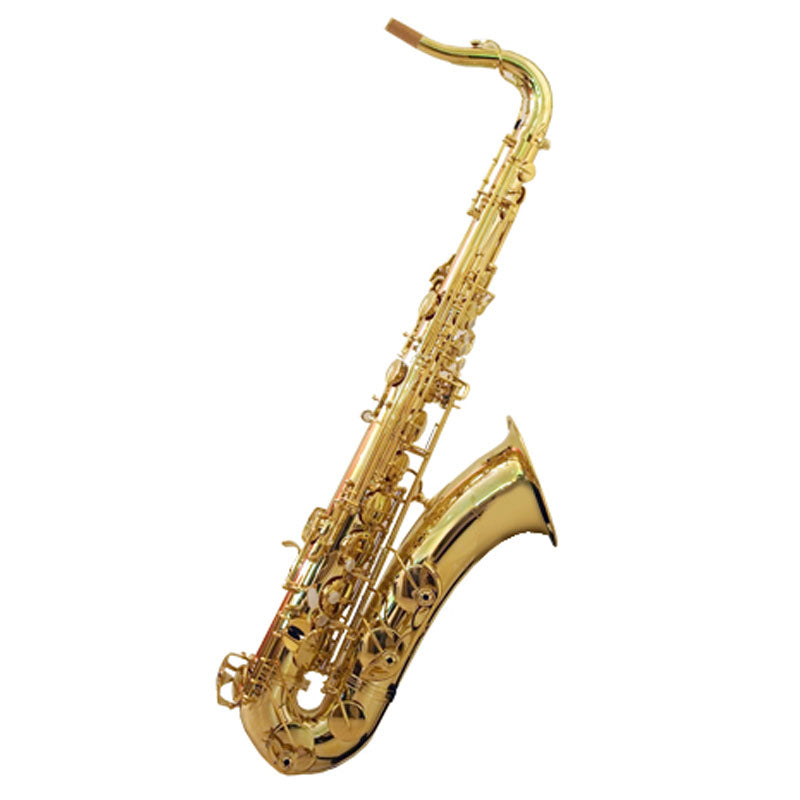 Tenor Saxophone Trevor James SR 384SR-ZK